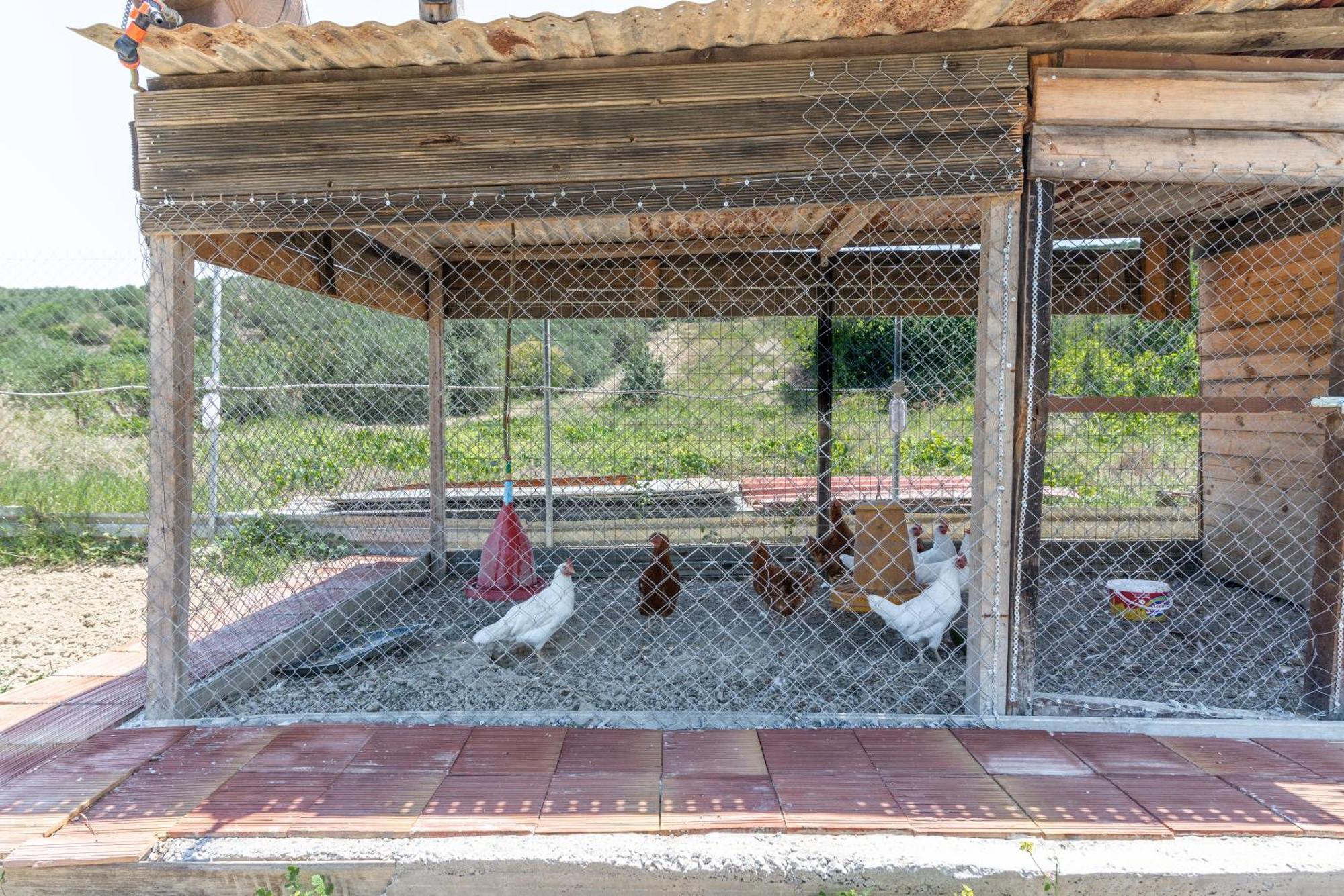 Countryhouse Villa With Pool & Private Parking Kandiye Dış mekan fotoğraf